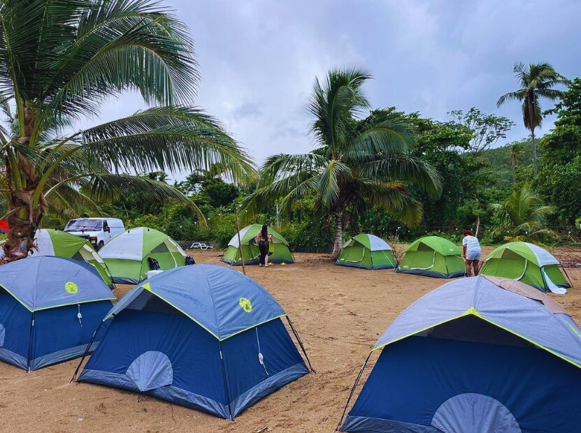 campamento, acampada, casas de campaña